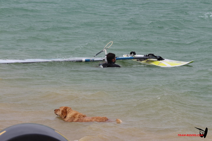 20140916 ganguise 001