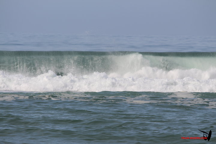 20141025 biscarosse 001