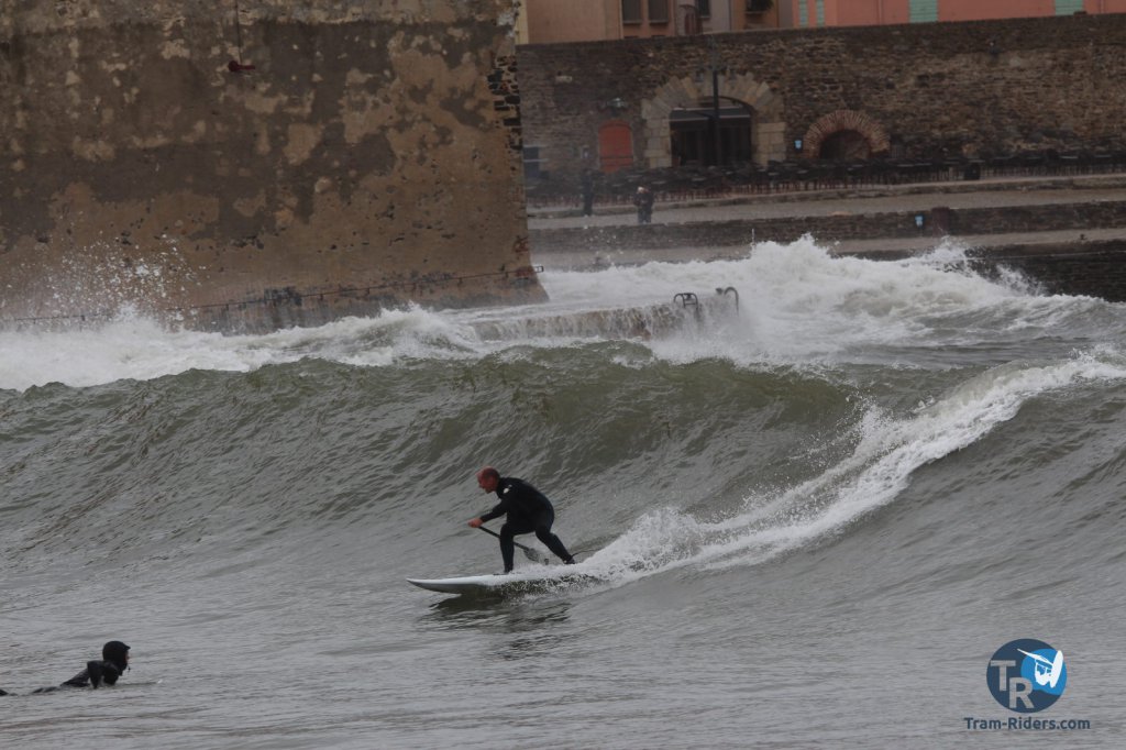 20160227-SUP-Collioure-033