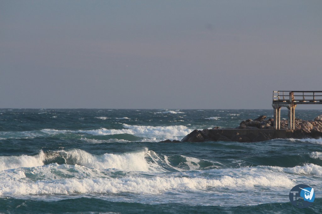 20161120-pilotis124