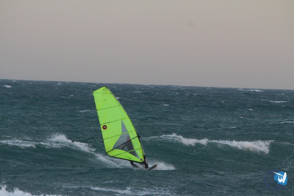 20161120-pilotis228