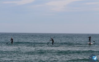 20161120-pilotis004
