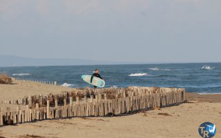 20161120-pilotis055