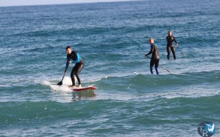 20161120-pilotis060