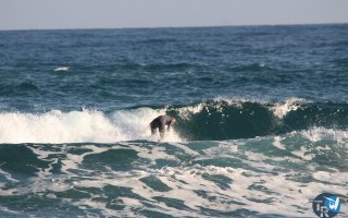 20161120-pilotis099