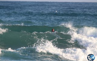 20161120-pilotis102