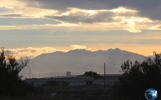 20161120-pilotis129