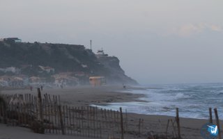 20161120-pilotis131