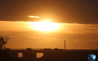 20161120-pilotis239