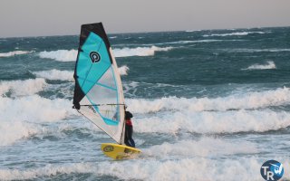 20161120-pilotis244