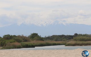 201704030-Agly079