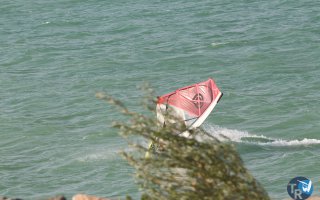 20170824-Ganguise068