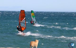 20171112-cypriano043