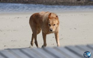 20180318-Franqui073