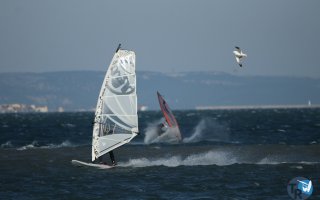 20181229-Franqui092