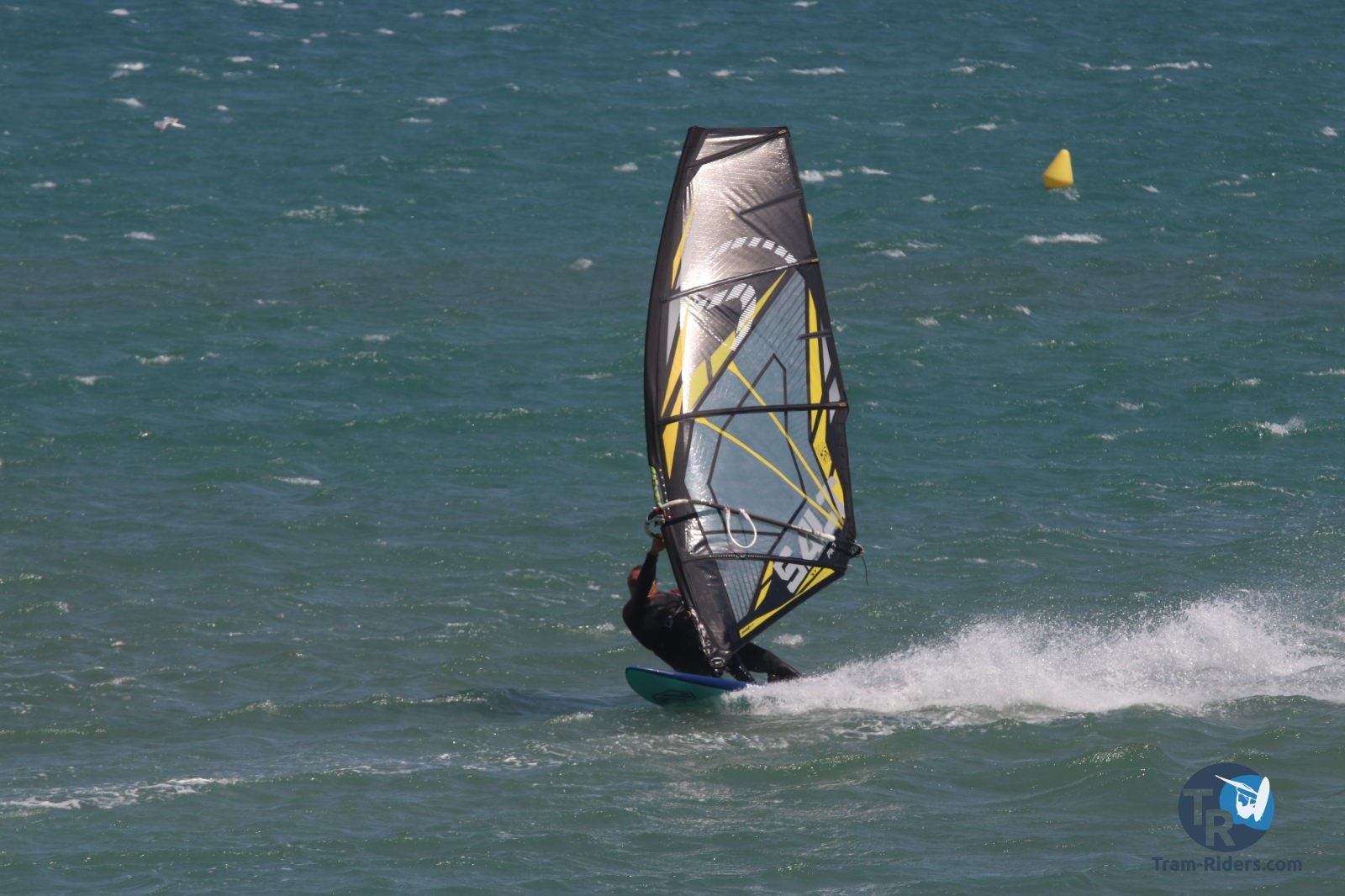 20200802-Franqui050