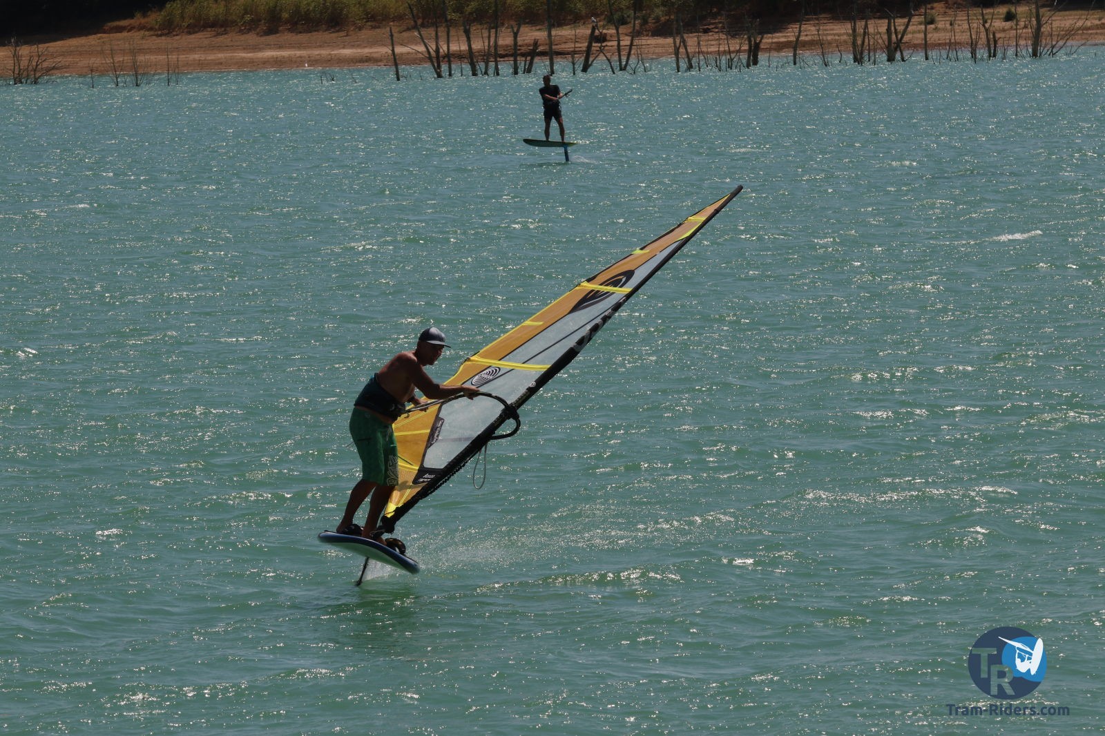 20200815-foil-ganguise011