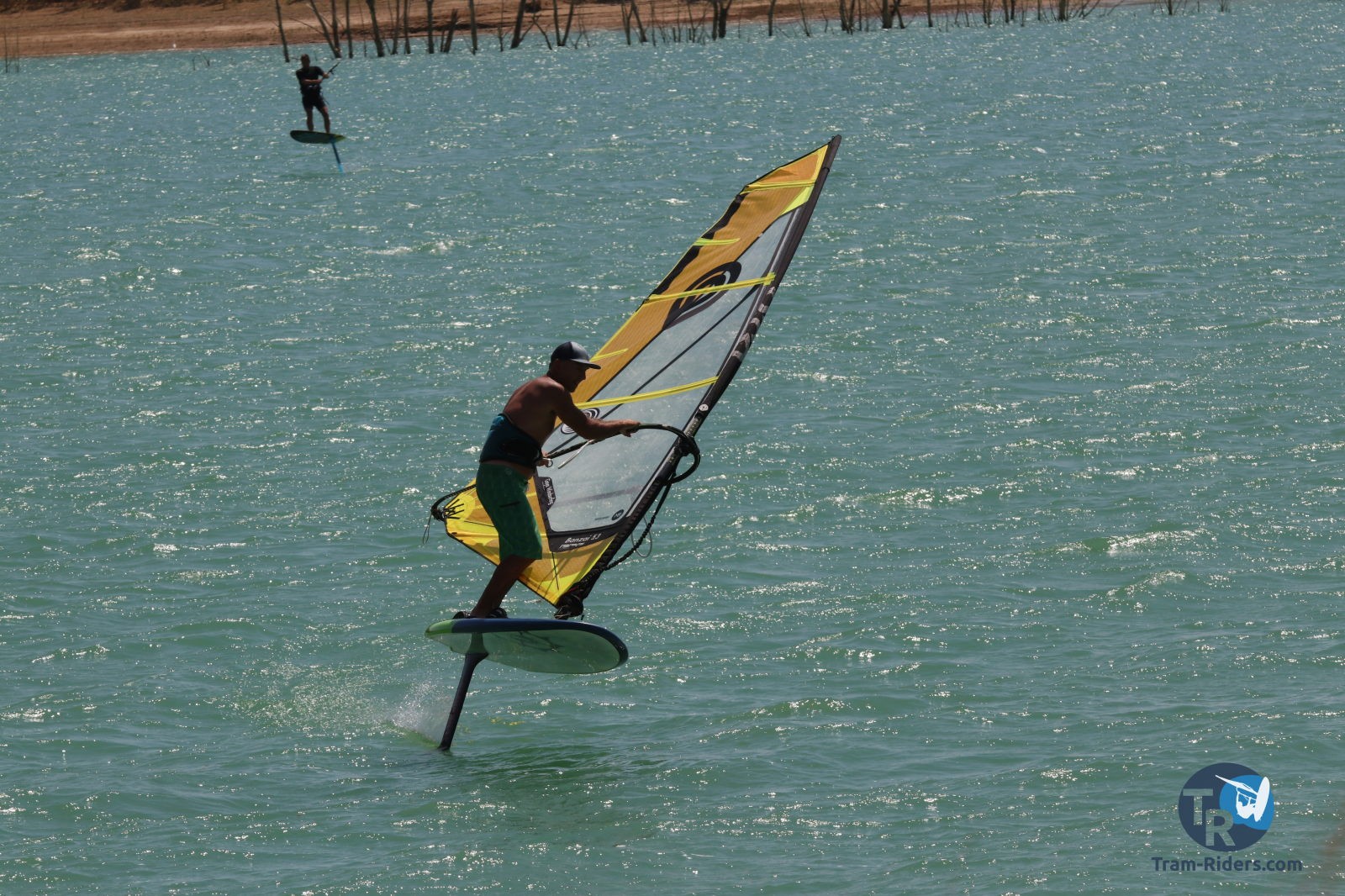 20200815-foil-ganguise012