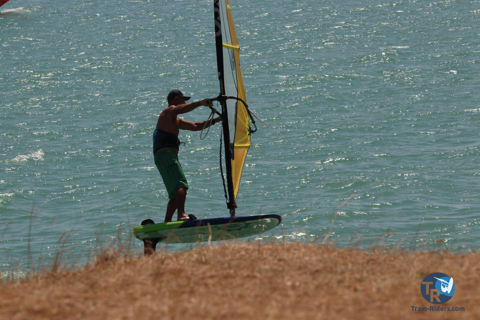 20200815-foil-ganguise014