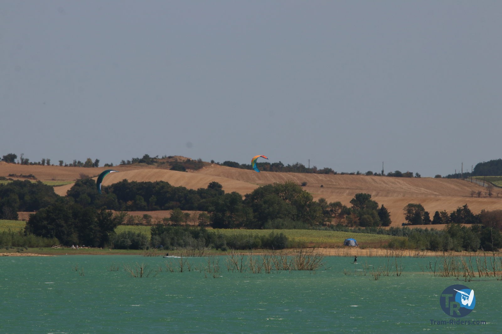 20200815-foil-ganguise028