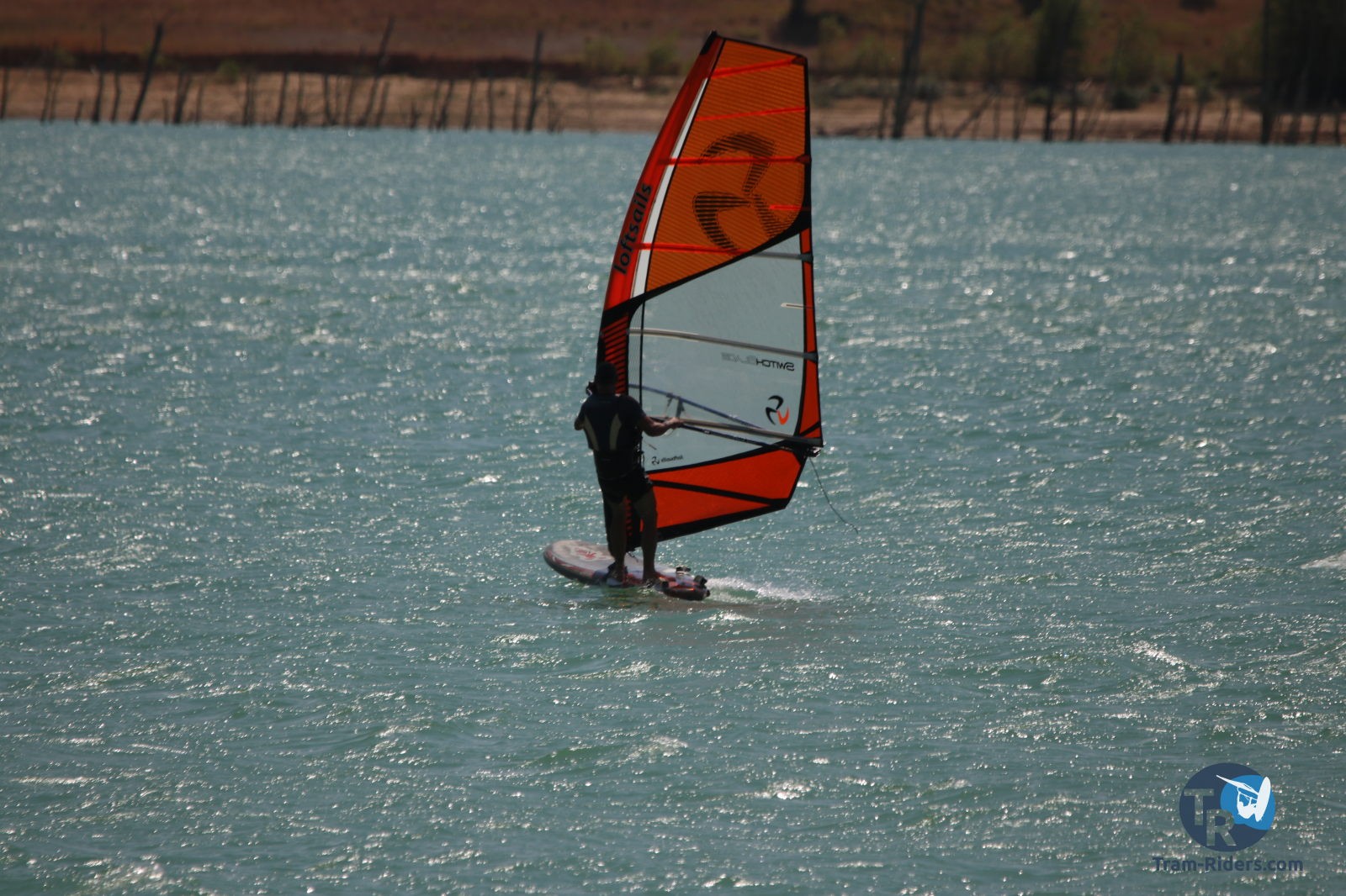 20200815-foil-ganguise031