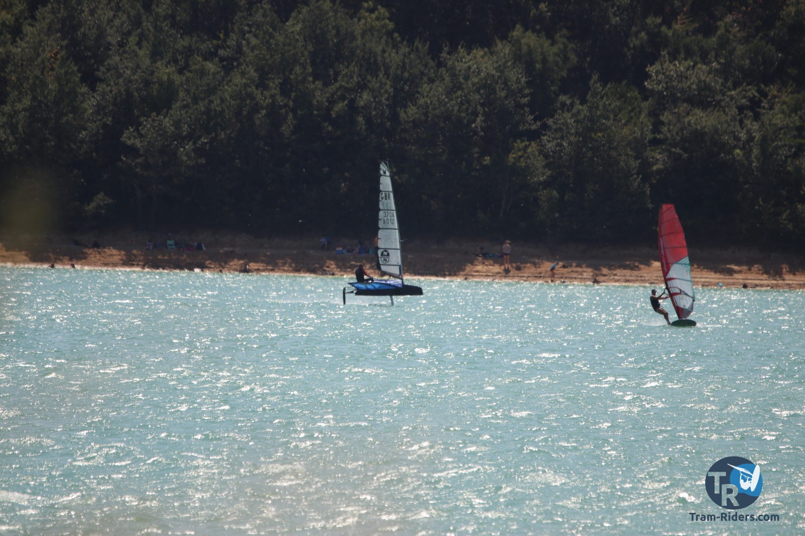 20200815-foil-ganguise032