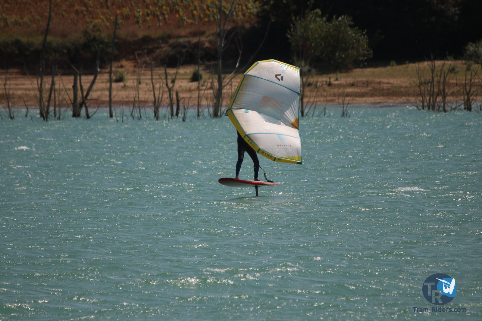 20200815-foil-ganguise036