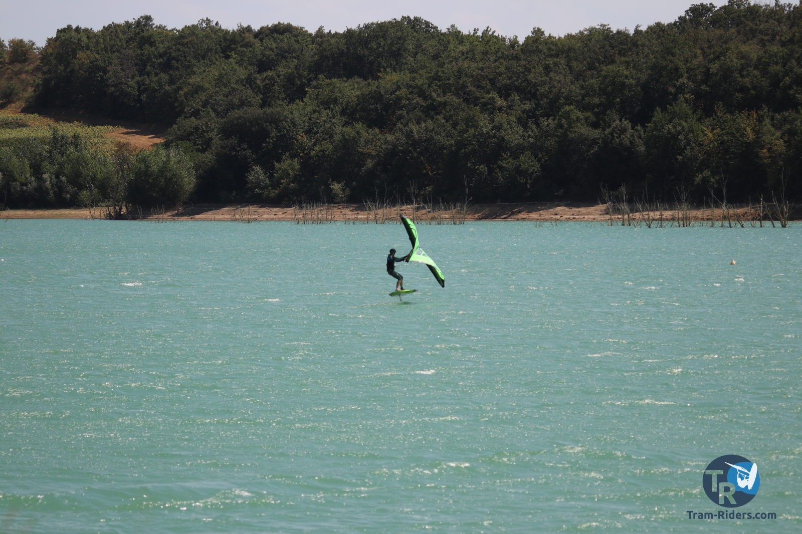 20200815-foil-ganguise037