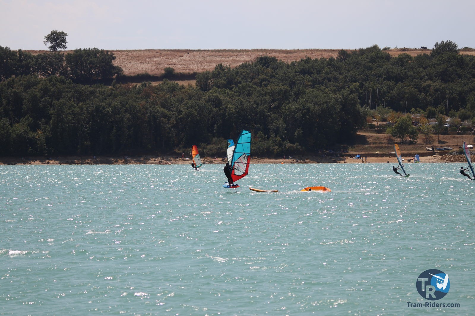 20200815-foil-ganguise038