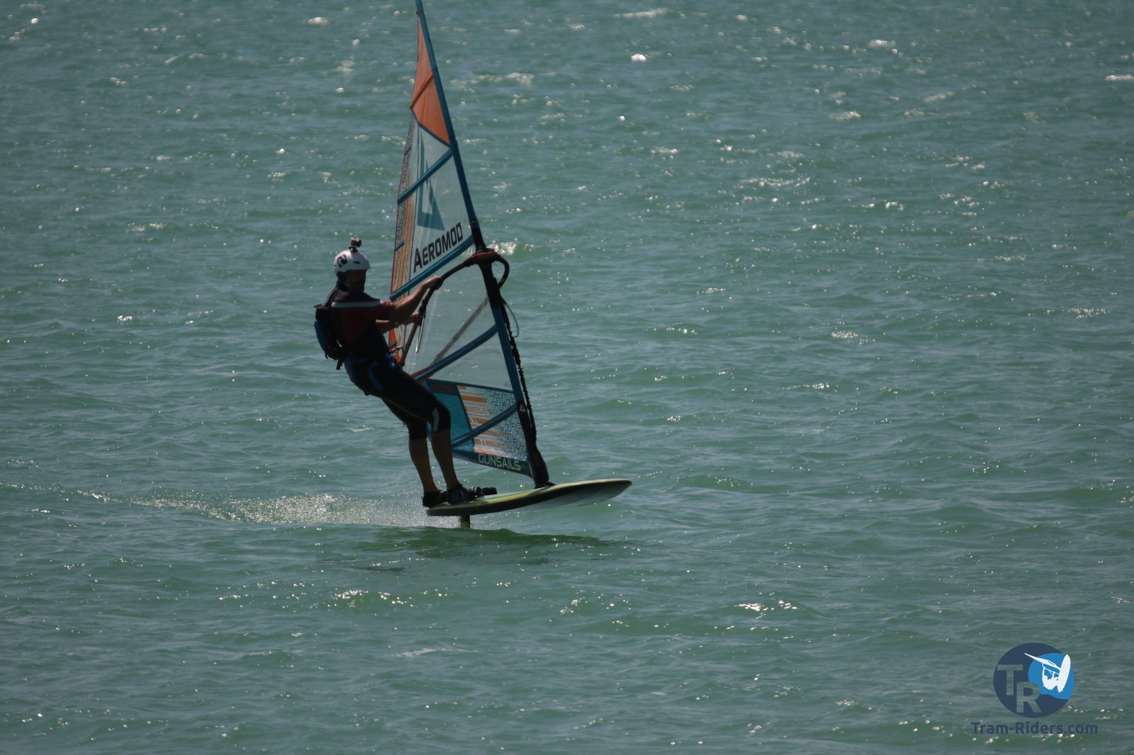 20200815-foil-ganguise051
