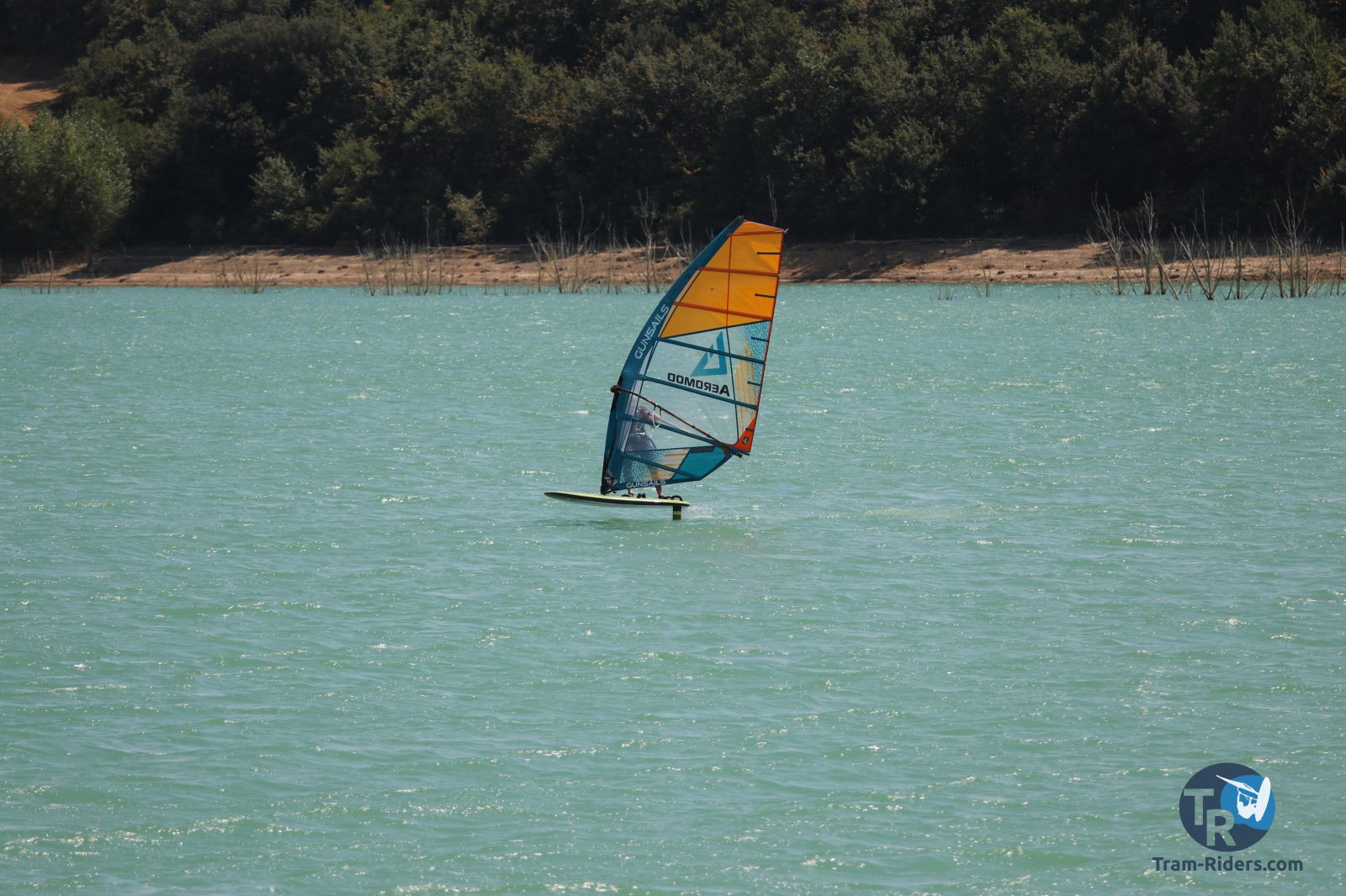 20200815-foil-ganguise060