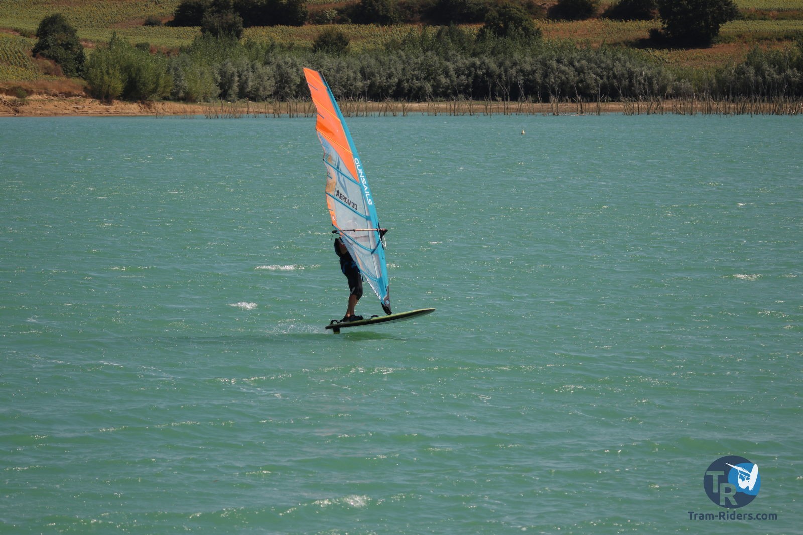 20200815-foil-ganguise062