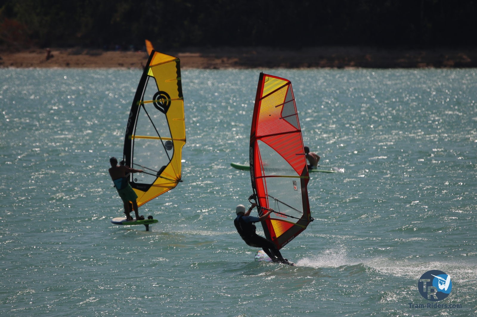 20200815-foil-ganguise079