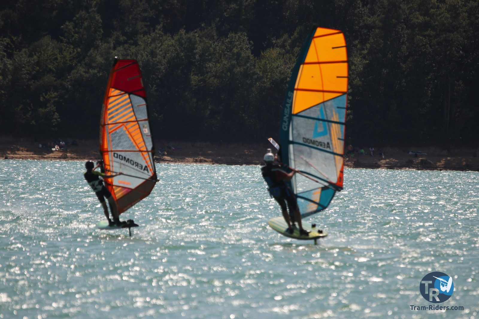 20200815-foil-ganguise103