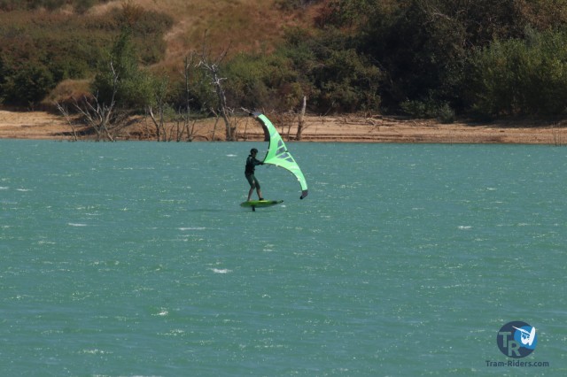 20200815-foil-ganguise025