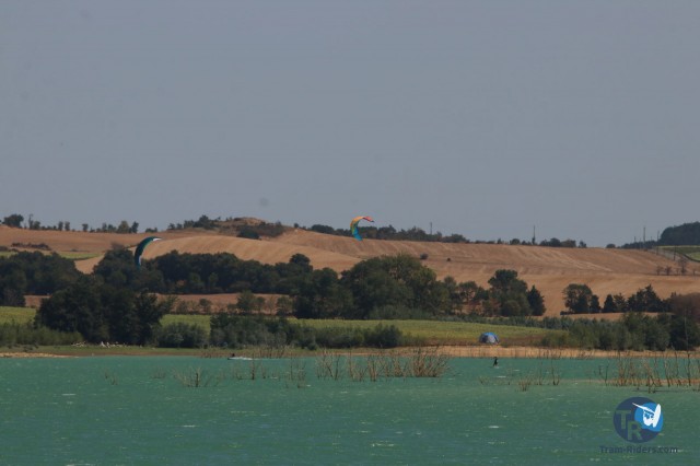 20200815-foil-ganguise028