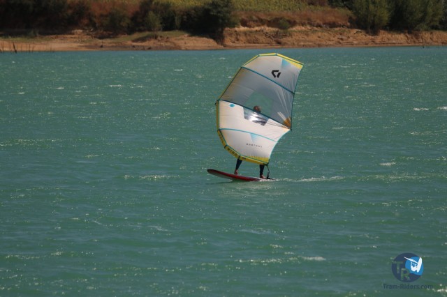 20200815-foil-ganguise029