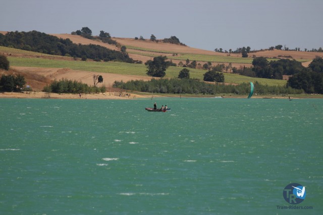 20200815-foil-ganguise030