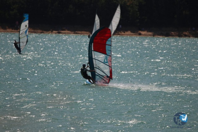 20200815-foil-ganguise034