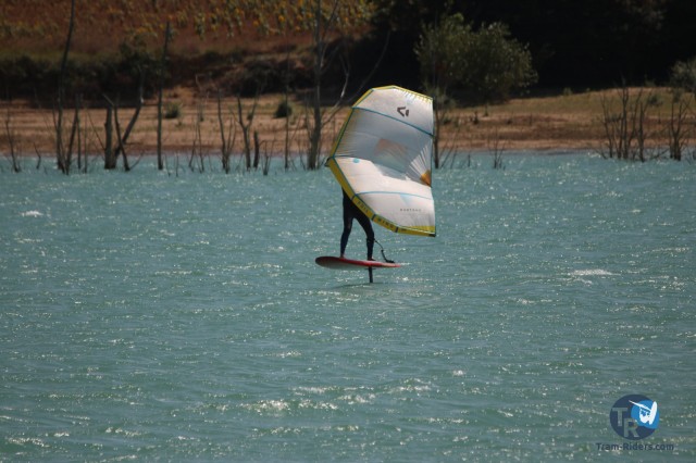 20200815-foil-ganguise036