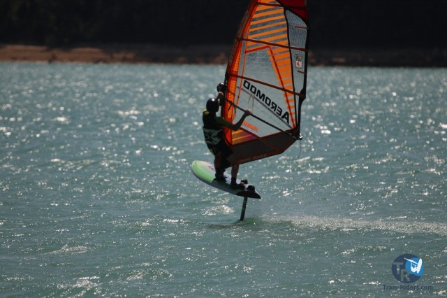 20200815-foil-ganguise042