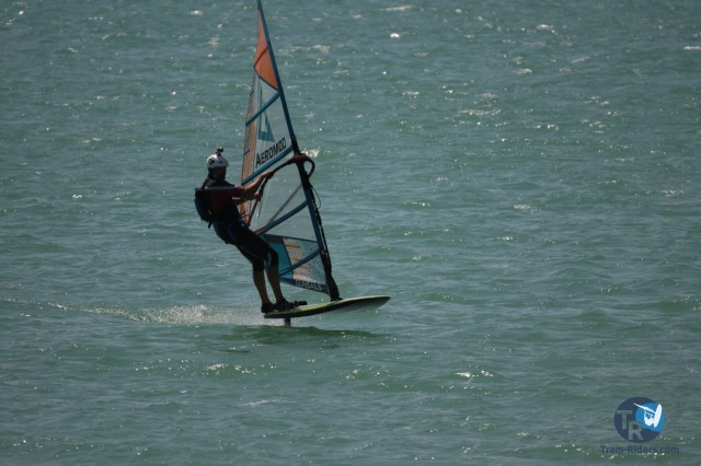 20200815-foil-ganguise051