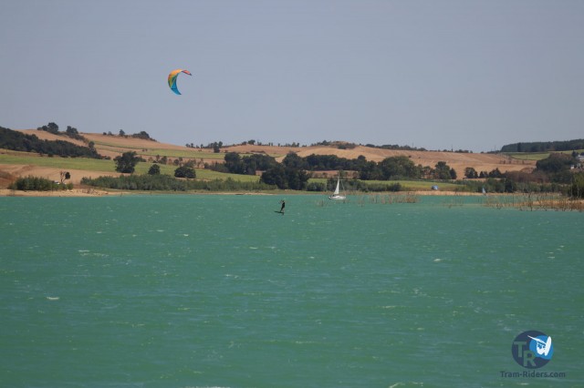 20200815-foil-ganguise055