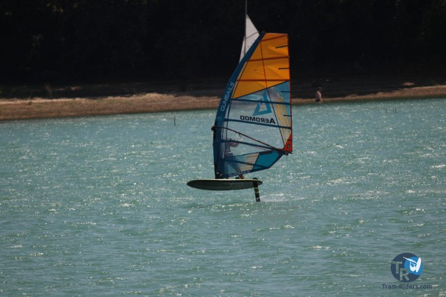 20200815-foil-ganguise059