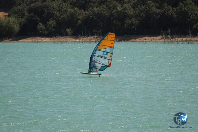 20200815-foil-ganguise060