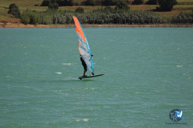 20200815-foil-ganguise062