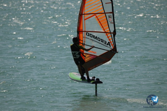 20200815-foil-ganguise064