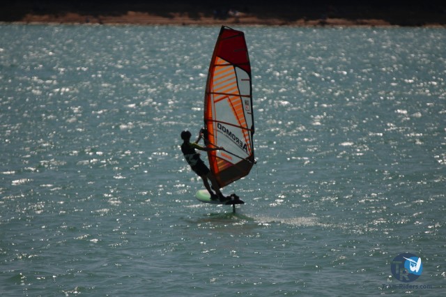 20200815-foil-ganguise065