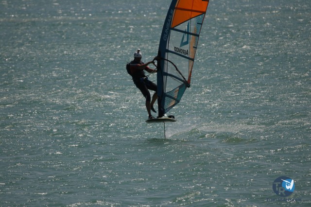 20200815-foil-ganguise069