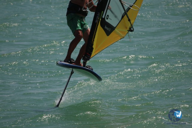 20200815-foil-ganguise074
